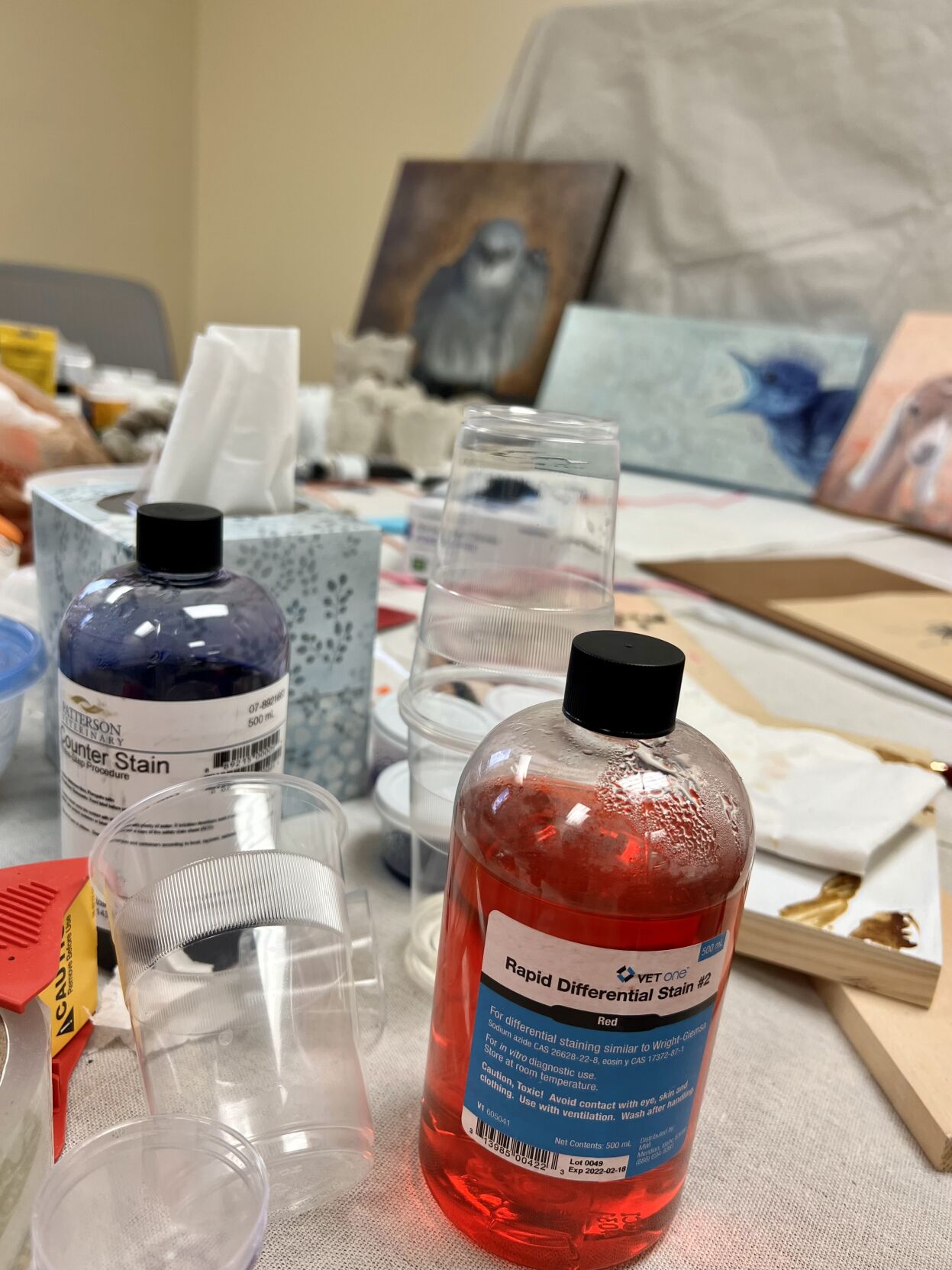 vet artist 12